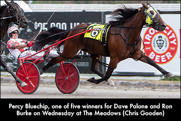 Palone And Burke Team Up For Five