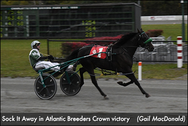 Atlantic Breeders Crown Complete