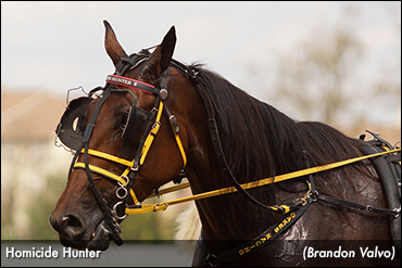 Fastest Trotter Returns To Yonkers