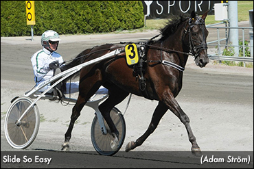 Owners Aim High With Danish Underdog