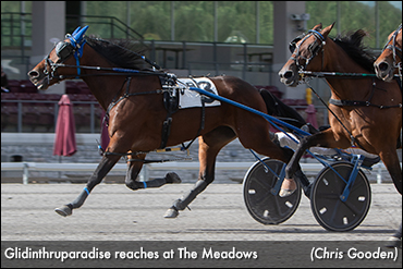 Glidinthruparadise Surges At Meadows