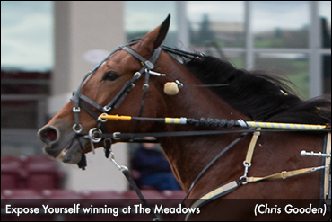 Expose Yourself Kicks Home At Meadows