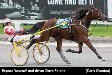 Expose Yourself Best Again At Meadows