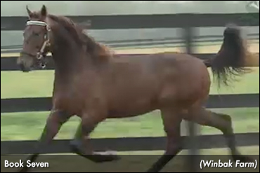 Book Seven Leads Harrisburg Day 3