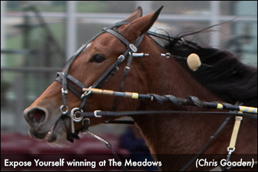 Expose Yourself Changes Tactics, Rallies