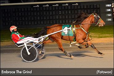 Delaware Trotting Frosh On Display