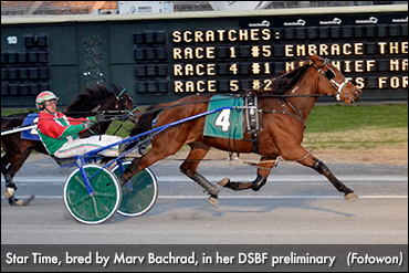 DSBF Preliminaries Wrap Up