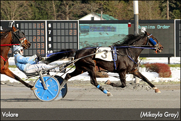 Volare Cruises To Saratoga Score