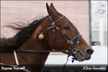 Expose Yourself Soars At Meadows