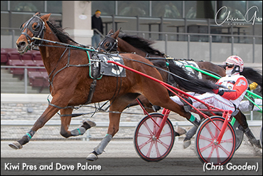 Kiwi Pres Rallies In Meadows Series