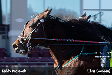 Teddy Brosevelt Carries Big Kick
