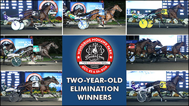 Friday's Breeders Crown Elims Complete Friday's Breeders Crown Elims Complete