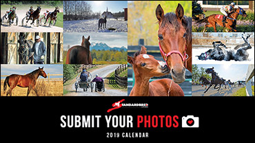 2019 Calendar Submissions Wanted