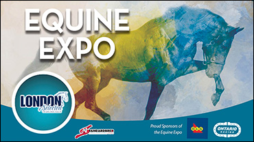 Equine Expo Returns To London