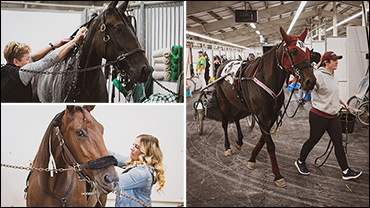 Fall Caretaker Appreciation Photos