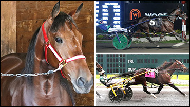 Trillions Hanover Steps Up Saturday