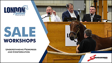 Pedigree & Conformation Workshops