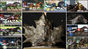 Who Wins The Maple Leaf Trot?