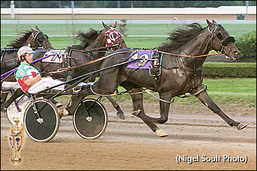 Trot N.A. Cup Spring Book: #9