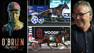 Hamel Goes All In On Horses