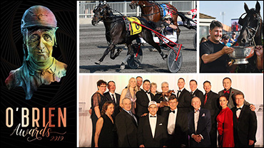 No 'Trading' This Horse Of The Year