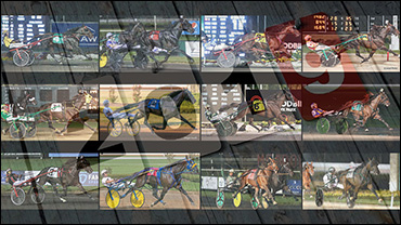 Who Will You Miss The Most?