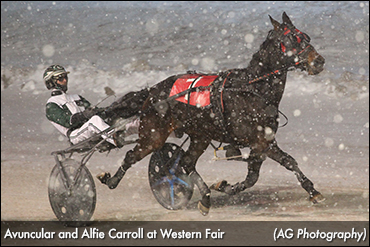 Avuncular Repeats At The Raceway