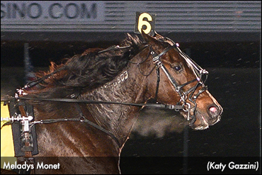 Millionaires Sweep Yonkers Opens
