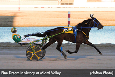 Pine Dream Brushes To Miami Victory