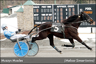 Muzzys Muscles Strong At Saratoga