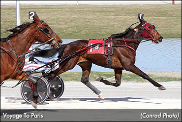 Kauffman Triumphant In Driving Return