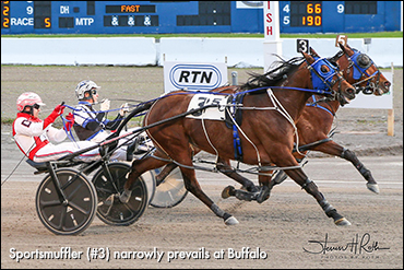Sportsmuffler Repeats At Buffalo