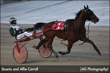 Sicario Soars At Western Fair