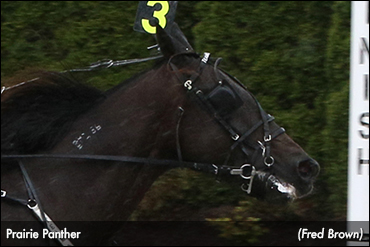 Prairie Panther Crushes At Tioga