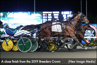 Breeders Crown A 'Huge Success'