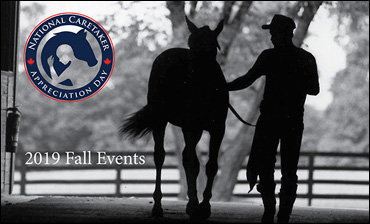 NCAD Fall Events Set