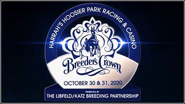 All Breeders Crown Fields Set All Breeders Crown Fields Set