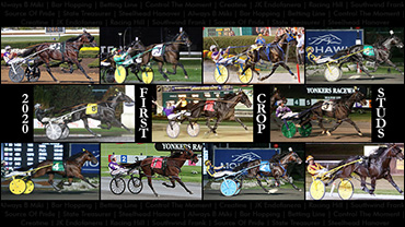 Spotlight On First-Crop Stallions