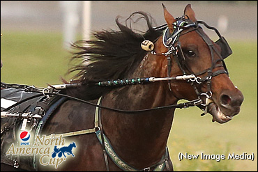 Trot N.A. Cup Spring Book: #10