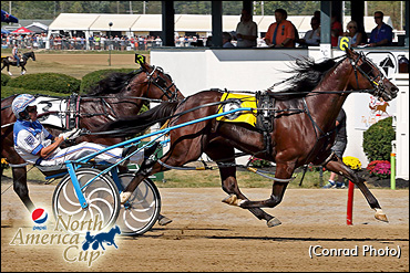 Trot N.A. Cup Spring Book: #3