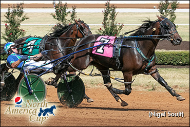 Trot N.A. Cup Spring Book: #8