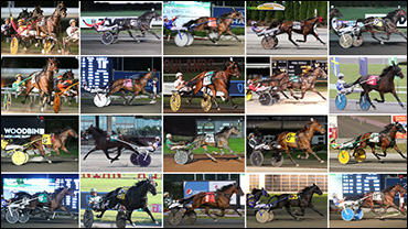 Which Horse Will You Miss The Most?