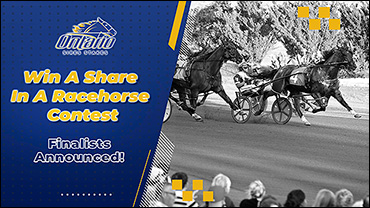Win A Share Finalists Announced