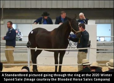 Winter Speed Sale Underway