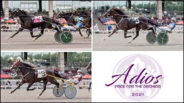 2021 Adios Eliminations Complete