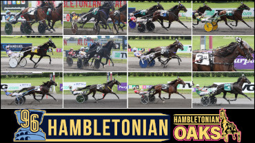 Who Impressed Most On Hambo Day?