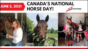 Celebrate National Horse Day!