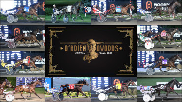 Which Trotter Could Win Horse Of The Year?