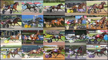 A Fantasy First Foal Choice