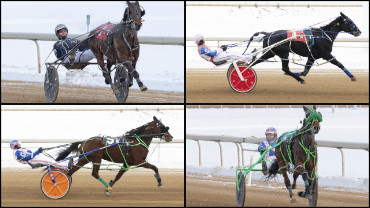 Trainers Weigh In On Alberta Stakes